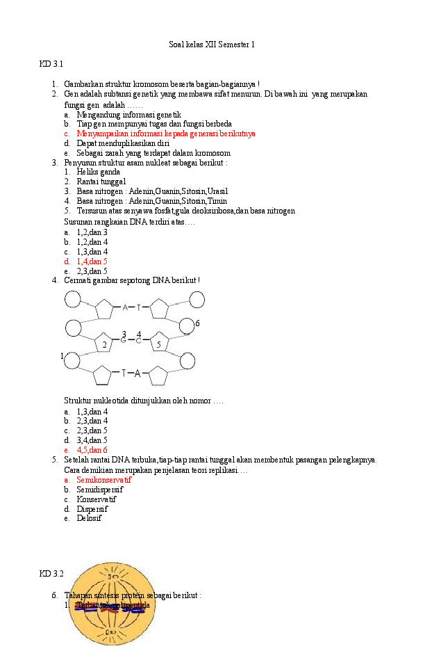 Detail Gambar Nukleotida Dan Bagiannya Nomer 45