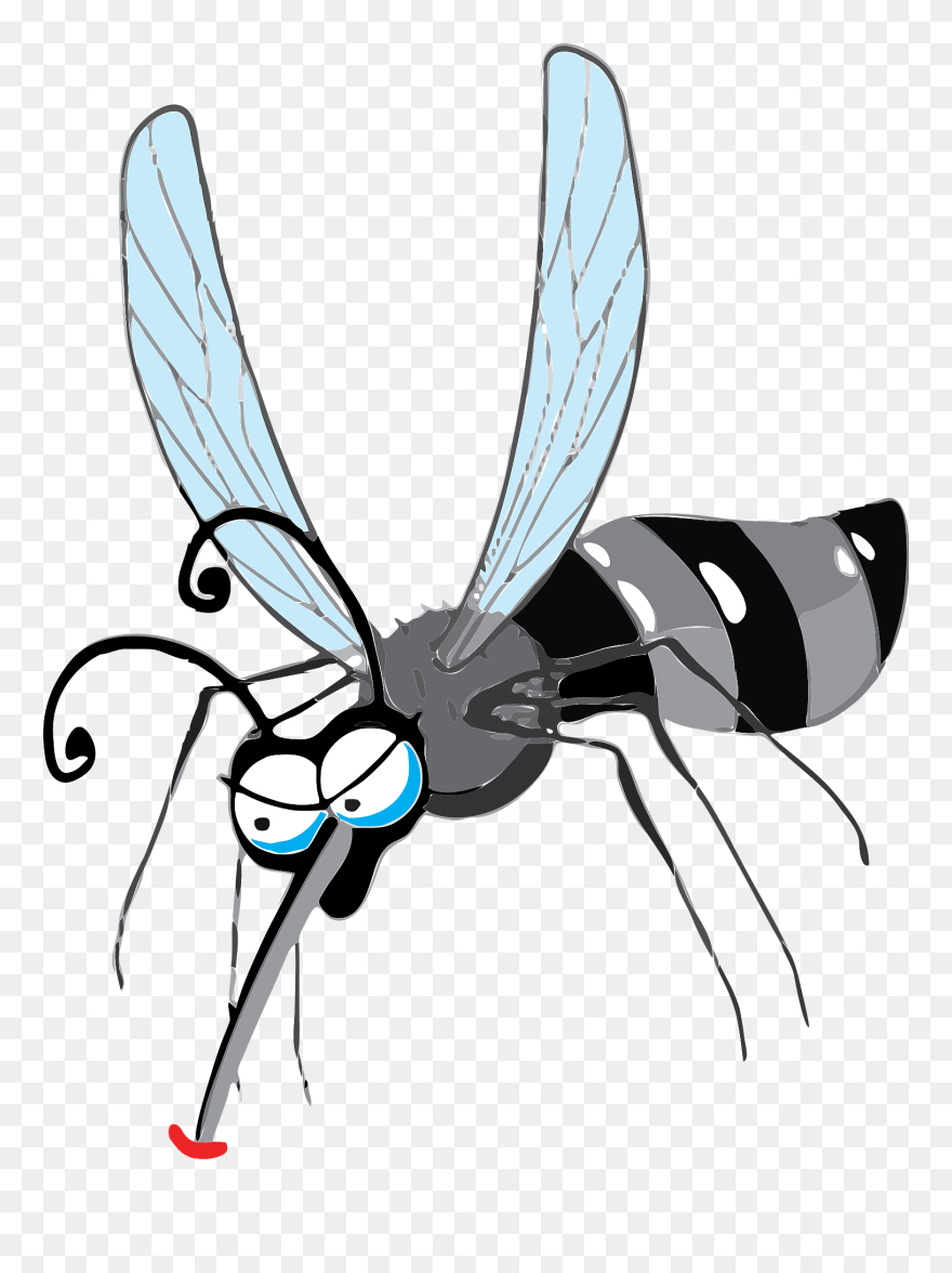Detail Gambar Nyamuk Aedes Nomer 46