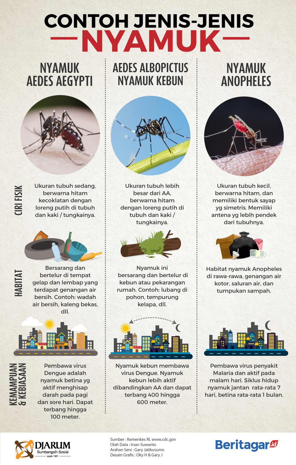 Detail Gambar Nyamuk Aedes Aegypti Nomer 19