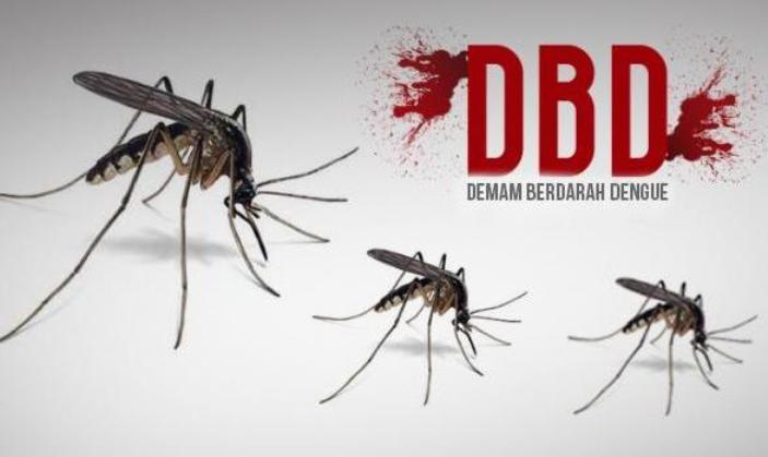 Detail Gambar Nyamuk Aedes Aegypti Nomer 31