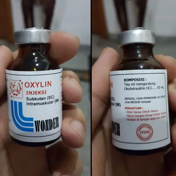 Detail Gambar Obat Antibiotik Dan Indikasinya Nomer 30