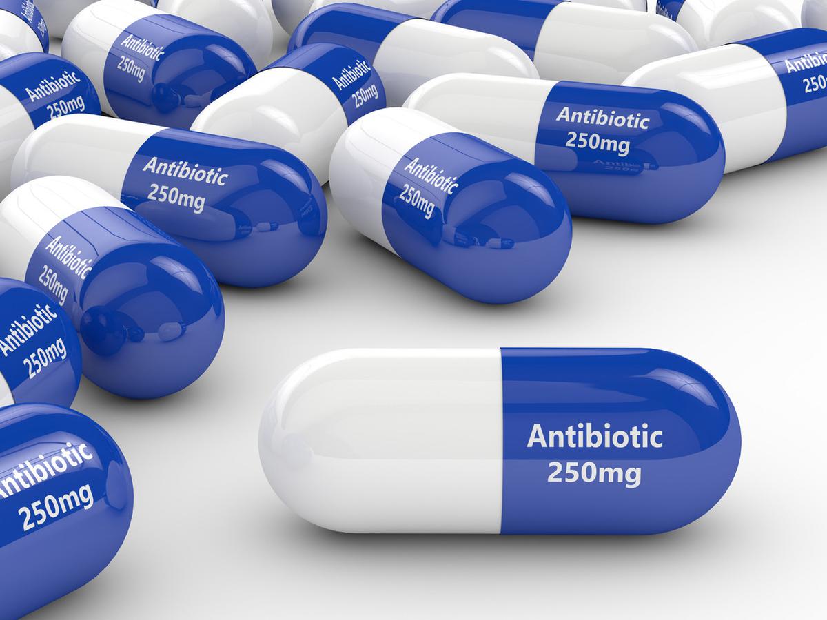 Detail Gambar Obat Antibiotik Dan Indikasinya Nomer 8