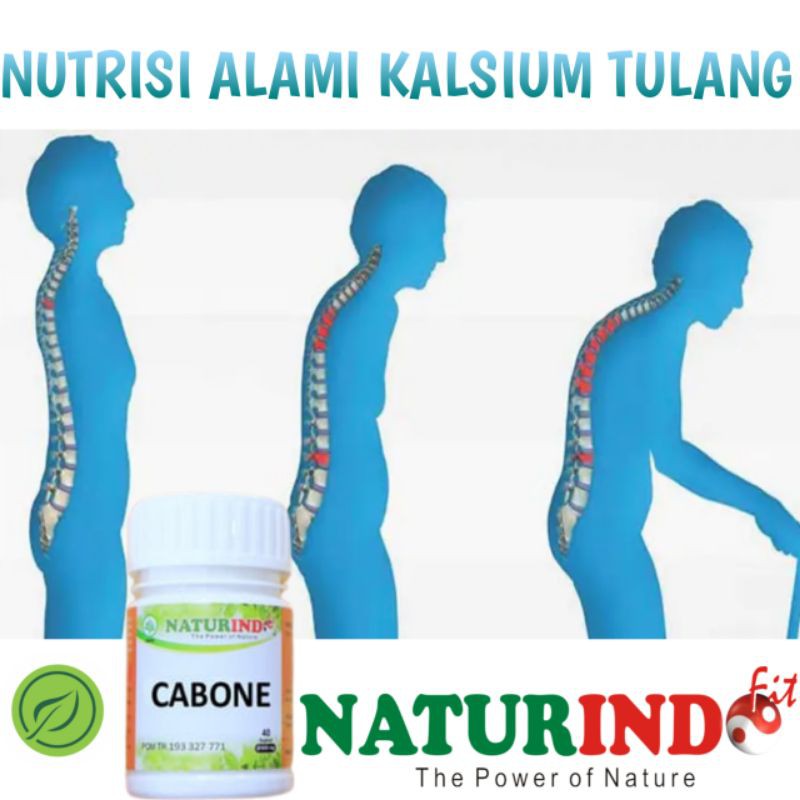 Detail Gambar Obat Osteoporosis Nomer 31