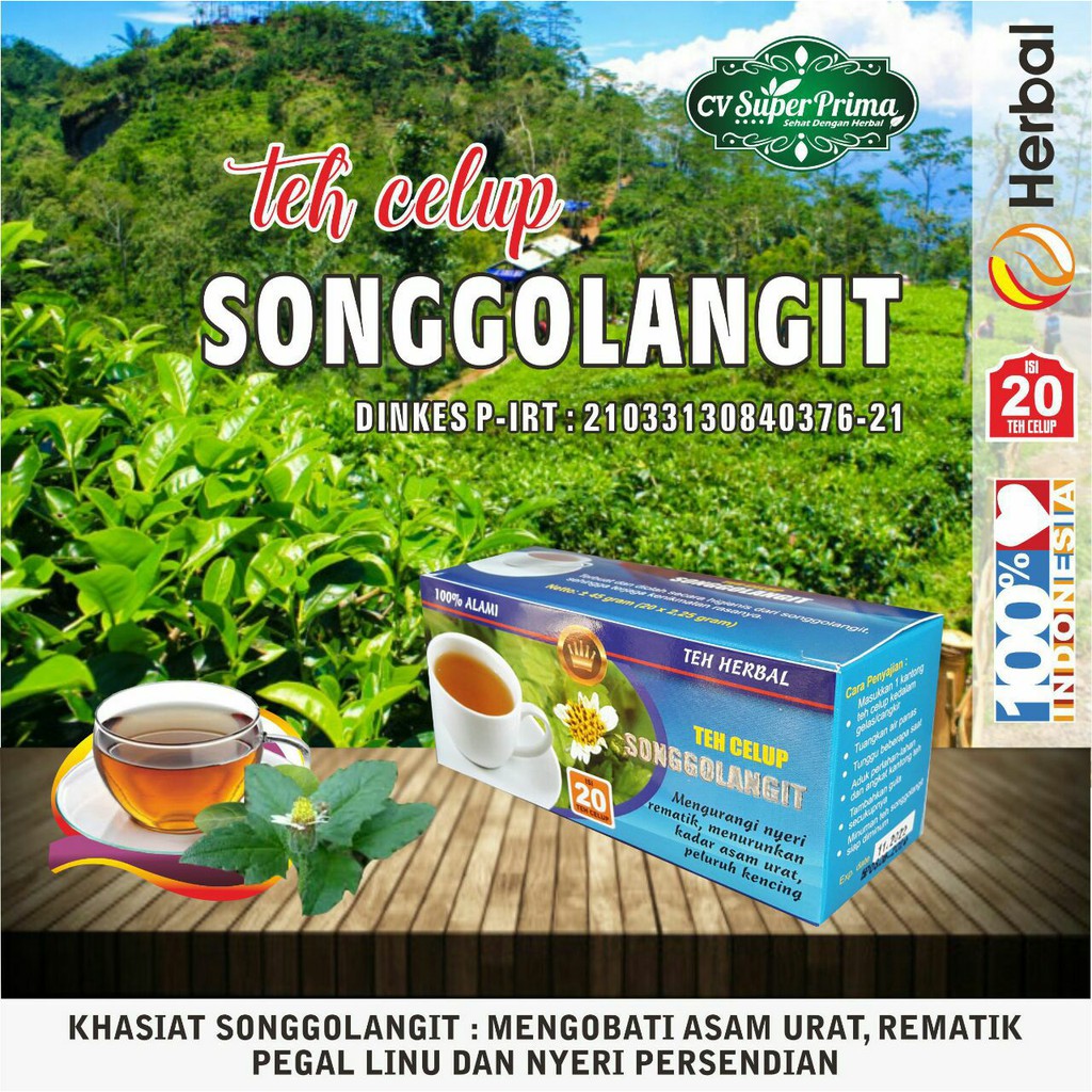 Detail Gambar Obat Teh Songgolangit Nomer 12