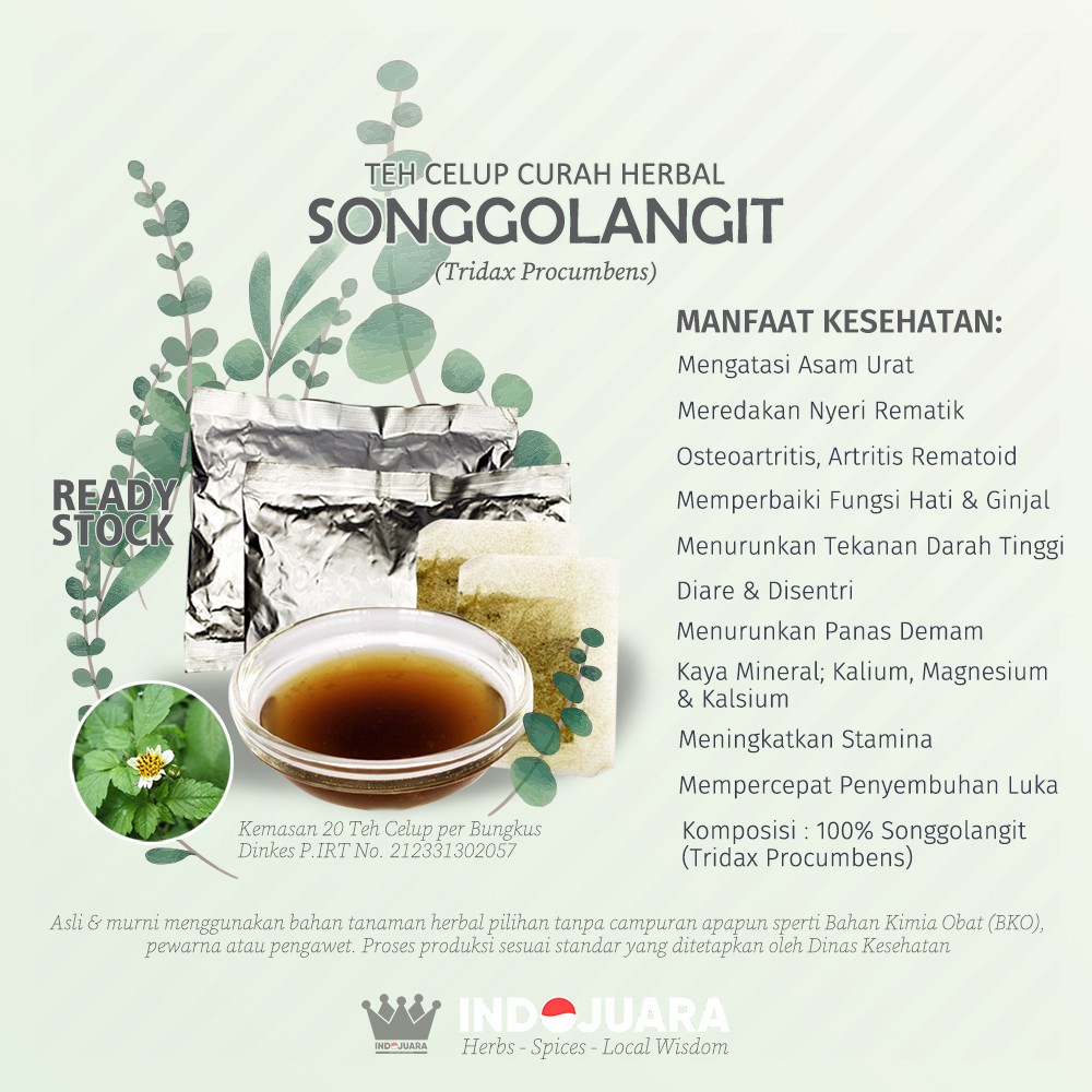 Detail Gambar Obat Teh Songgolangit Nomer 15