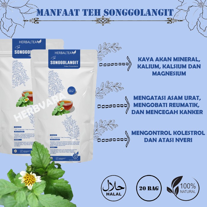 Detail Gambar Obat Teh Songgolangit Nomer 30