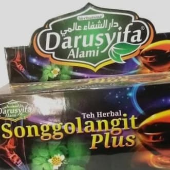 Detail Gambar Obat Teh Songgolangit Nomer 39