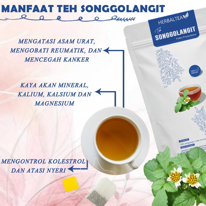 Detail Gambar Obat Teh Songgolangit Nomer 41