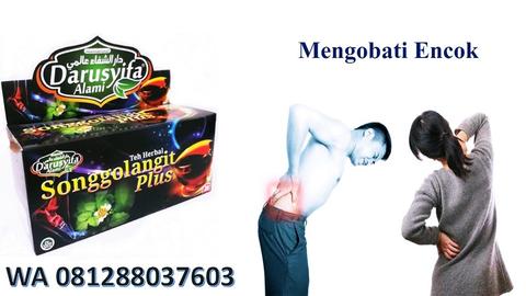 Detail Gambar Obat Tehsonggolangit Nomer 13