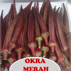 Detail Gambar Okra Merah Nomer 14