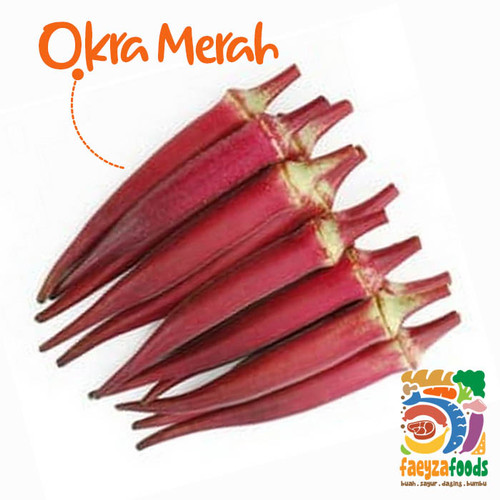 Detail Gambar Okra Merah Nomer 36