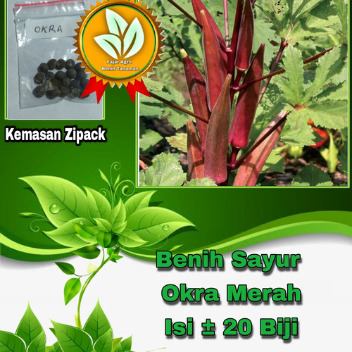 Detail Gambar Okra Merah Nomer 48