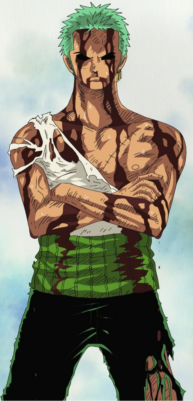 Detail Gambar One Piece Zoro Nomer 8
