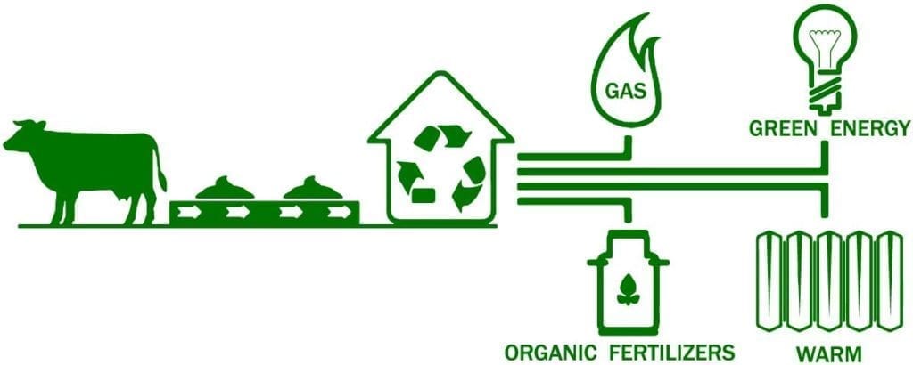 Detail Biogas Process Flow Diagram Nomer 7