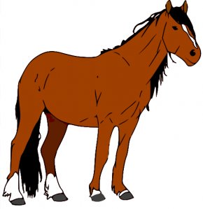 Detail Brown Quarter Horse Nomer 9