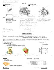 Detail Contoh Surat Pengembalian Karyawan Ke Hrd Nomer 34