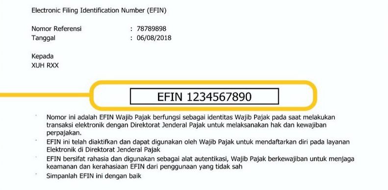 Detail Contoh Surat Penunjukan Pengurus Efin Nomer 29