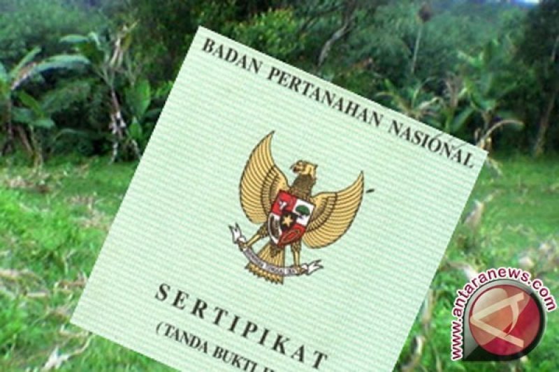 Detail Contoh Surat Permohonan Sertifikat Prona Nomer 47