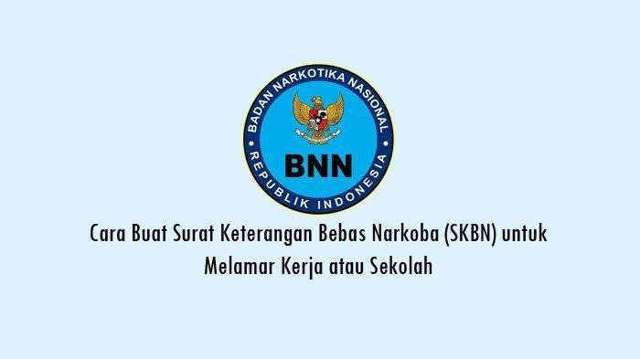 Detail Contoh Surat Pernyataan Bebas Narkoba Nomer 38