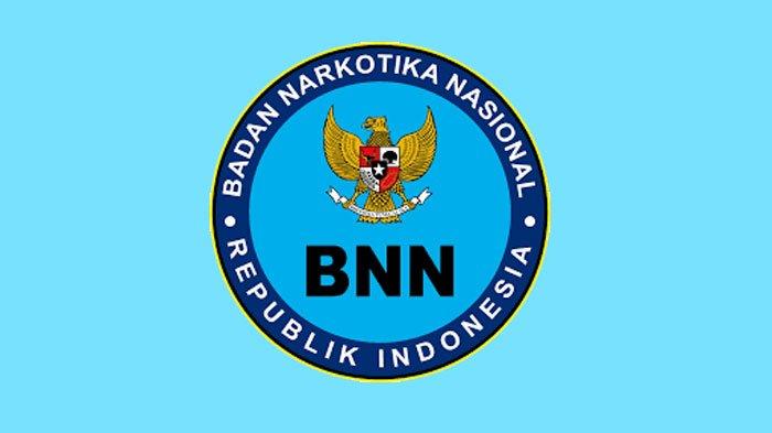 Detail Contoh Surat Pernyataan Bebas Narkoba Nomer 47