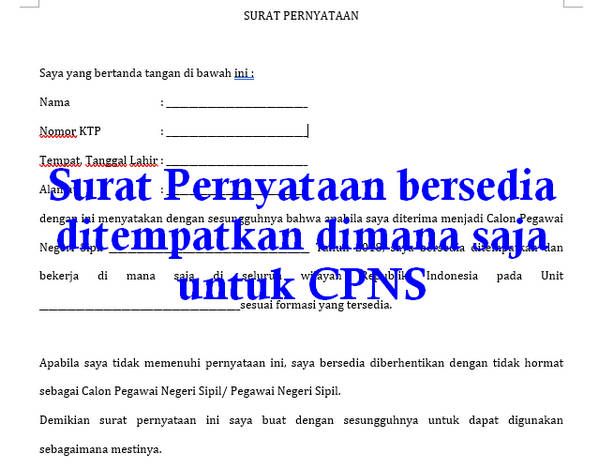 Detail Contoh Surat Pernyataan Bersedia Ditempatkan Di Sekolah Negeri Nomer 18