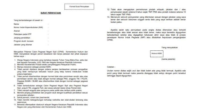 Detail Contoh Surat Pernyataan Bersedia Ditempatkan Di Sekolah Negeri Nomer 52