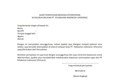 Detail Contoh Surat Pernyataan Bersedia Ditempatkan Di Sekolah Negeri Nomer 8