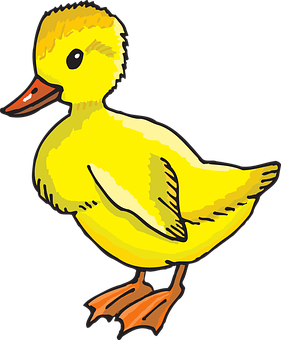 Detail Enten Profilbild Nomer 2