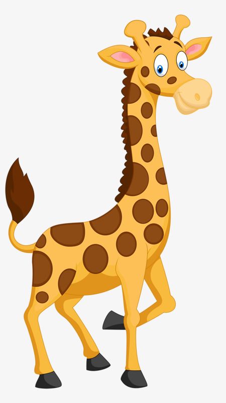 Detail Geburtstag Giraffe Lustig Nomer 12