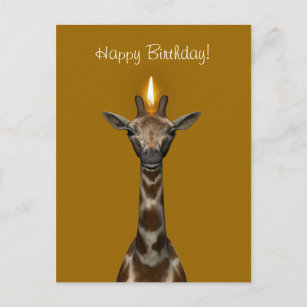 Detail Geburtstag Giraffe Lustig Nomer 21