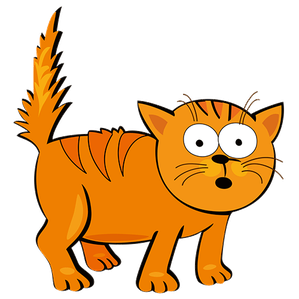 Rote Katze Name - KibrisPDR
