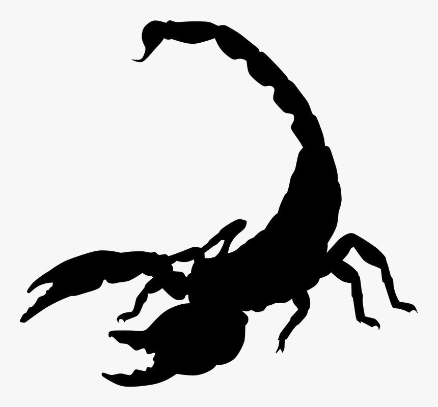 Detail Scorpion Logo Nomer 17