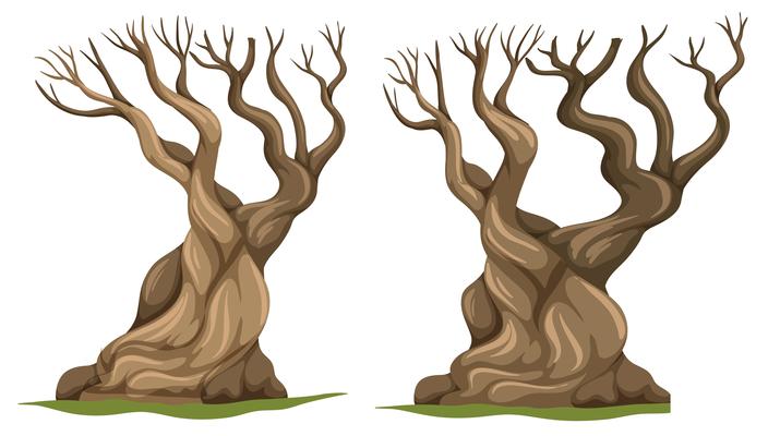 Detail Toter Baum Nomer 12