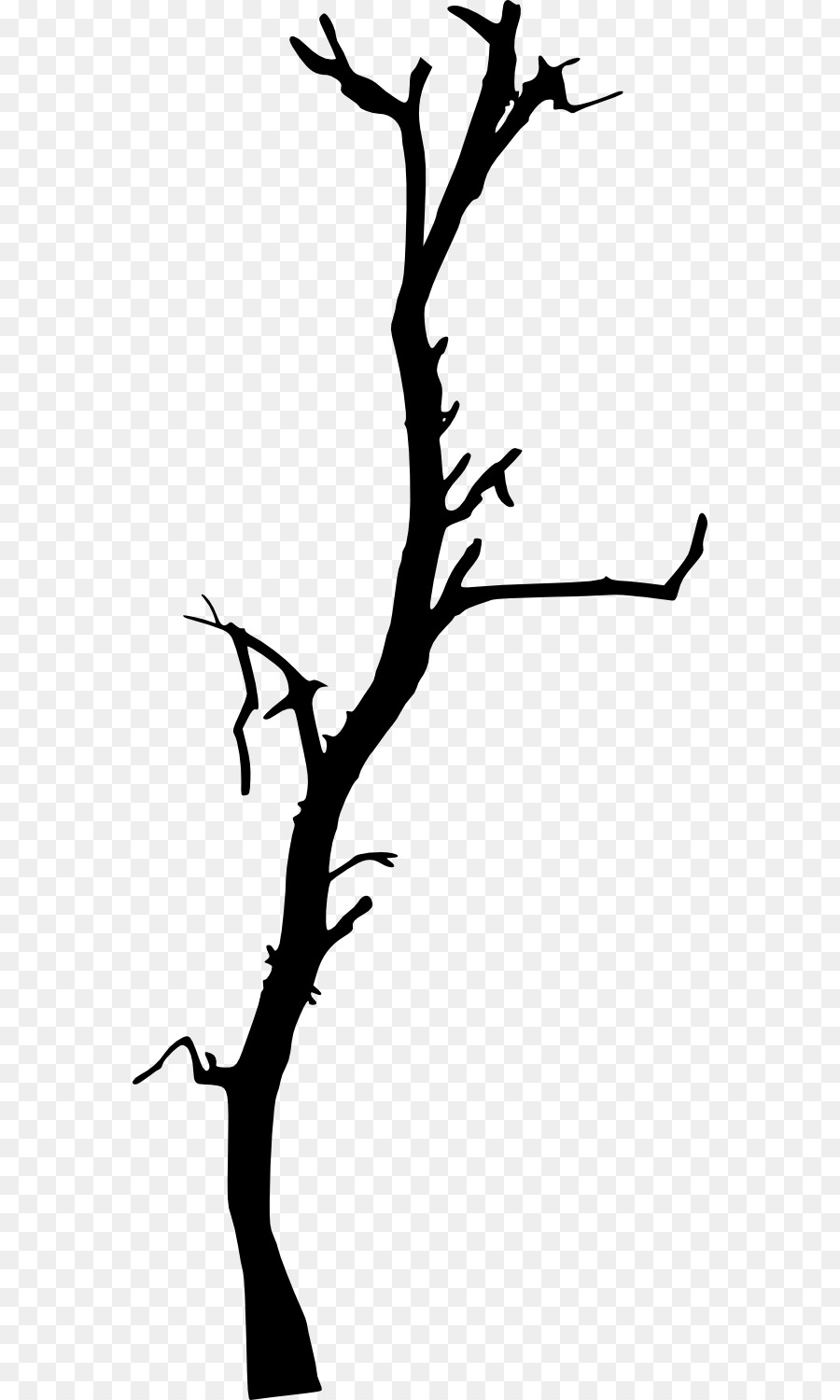 Detail Toter Baum Nomer 13