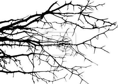 Detail Toter Baum Nomer 21