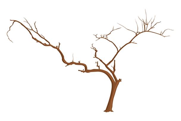 Detail Toter Baum Nomer 22