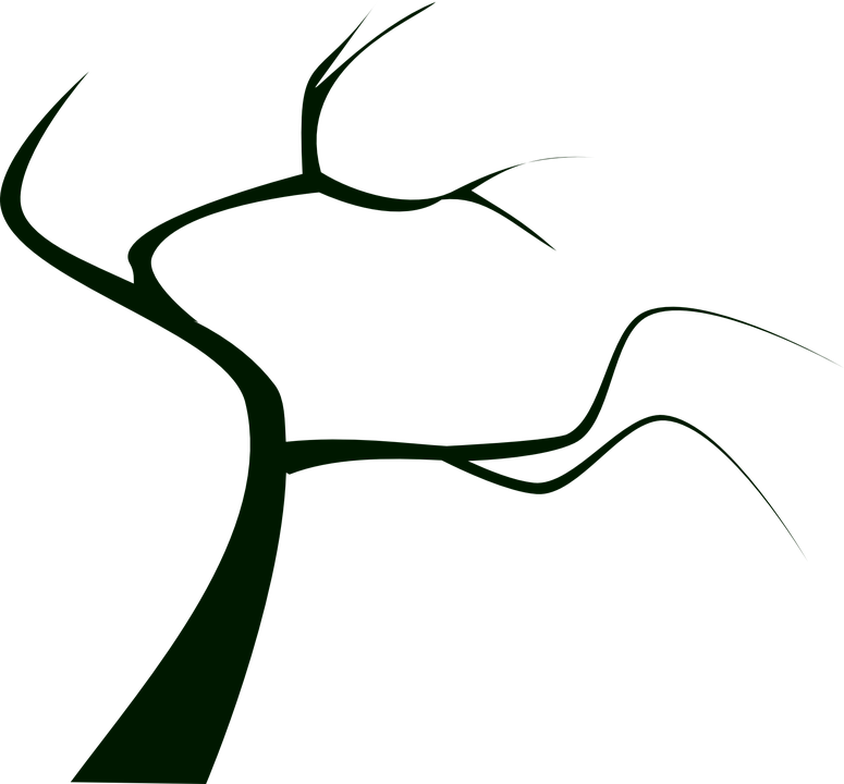 Detail Toter Baum Nomer 23