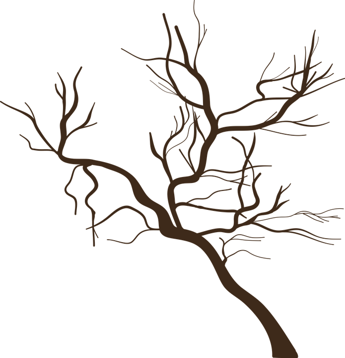 Detail Toter Baum Nomer 3