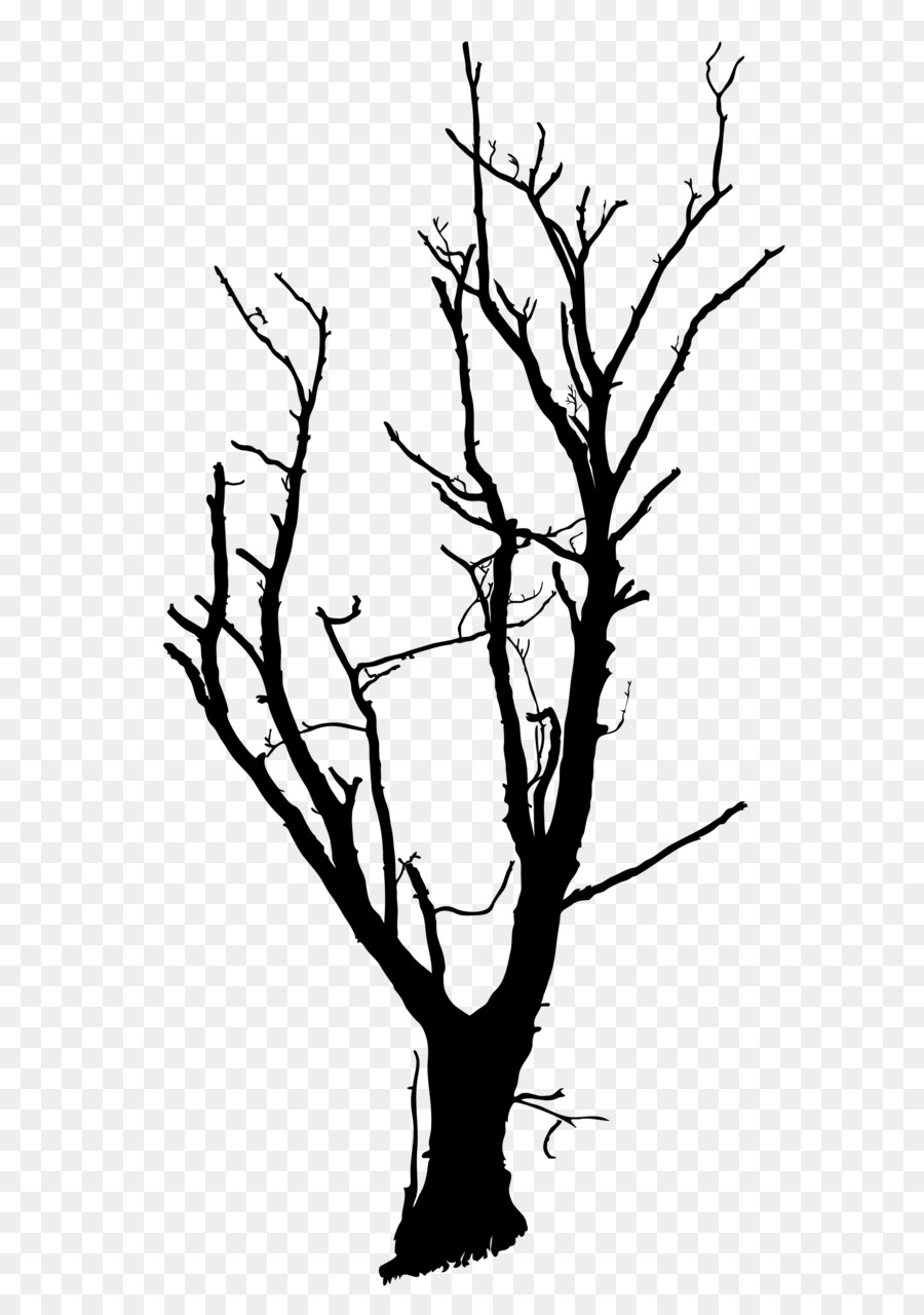 Detail Toter Baum Nomer 5