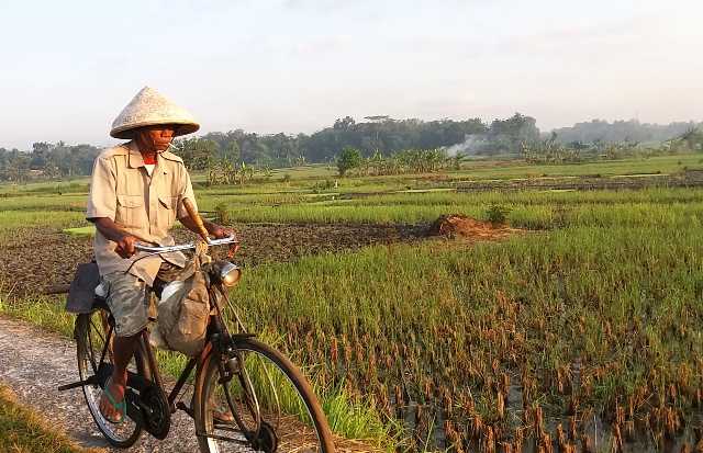 Detail Gambar Orang Bekerja Di Sawah Nomer 18