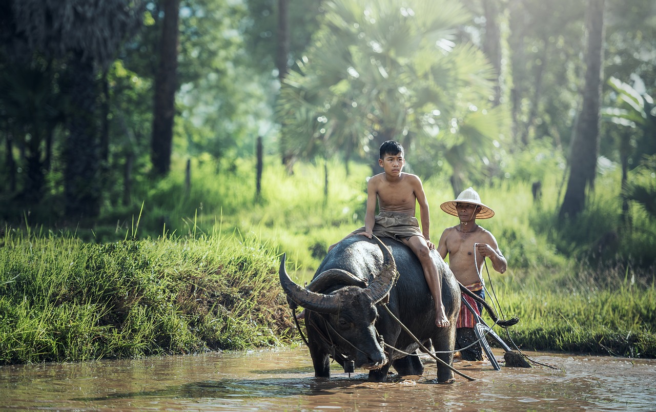 Detail Gambar Orang Bekerja Di Sawah Nomer 27