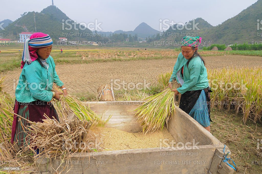 Detail Gambar Orang Bekerja Di Sawah Nomer 4