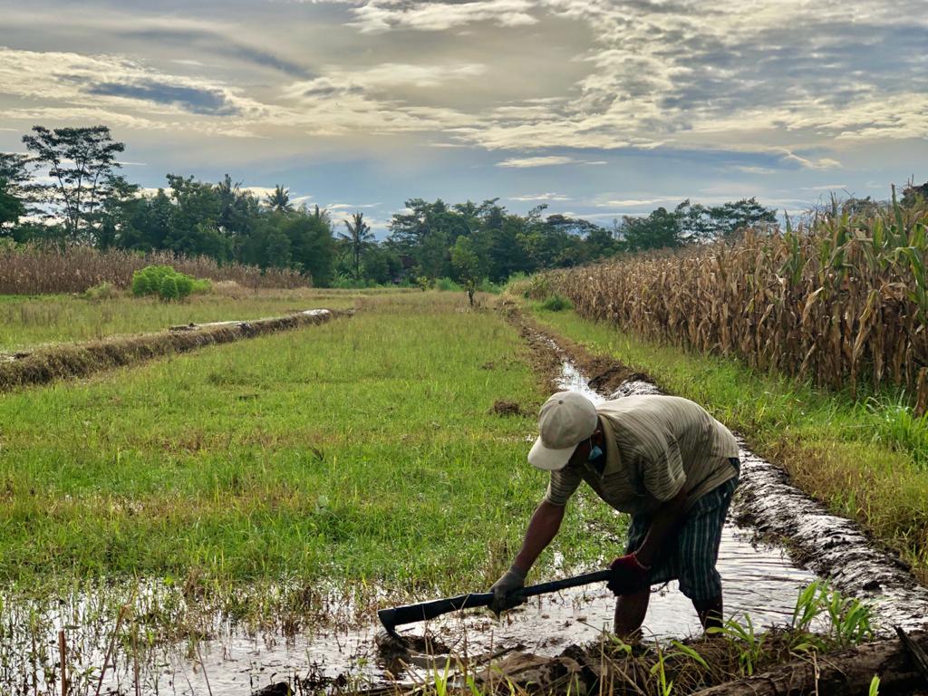 Detail Gambar Orang Bekerja Di Sawah Nomer 49