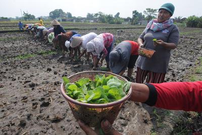 Detail Gambar Orang Bergotong Royong Nomer 48