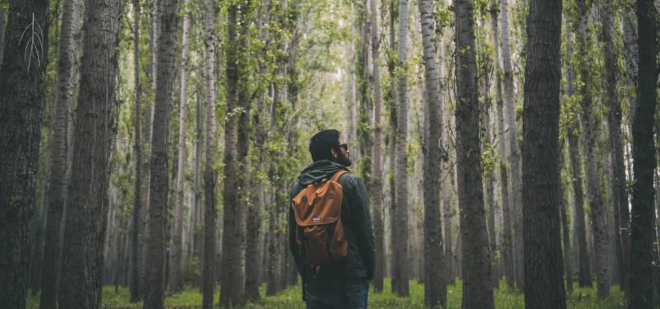 Detail Gambar Orang Berjalan Sendiriandi Hutan Nomer 37