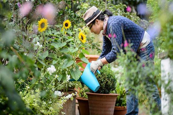 Gambar Orang Berkebun - KibrisPDR