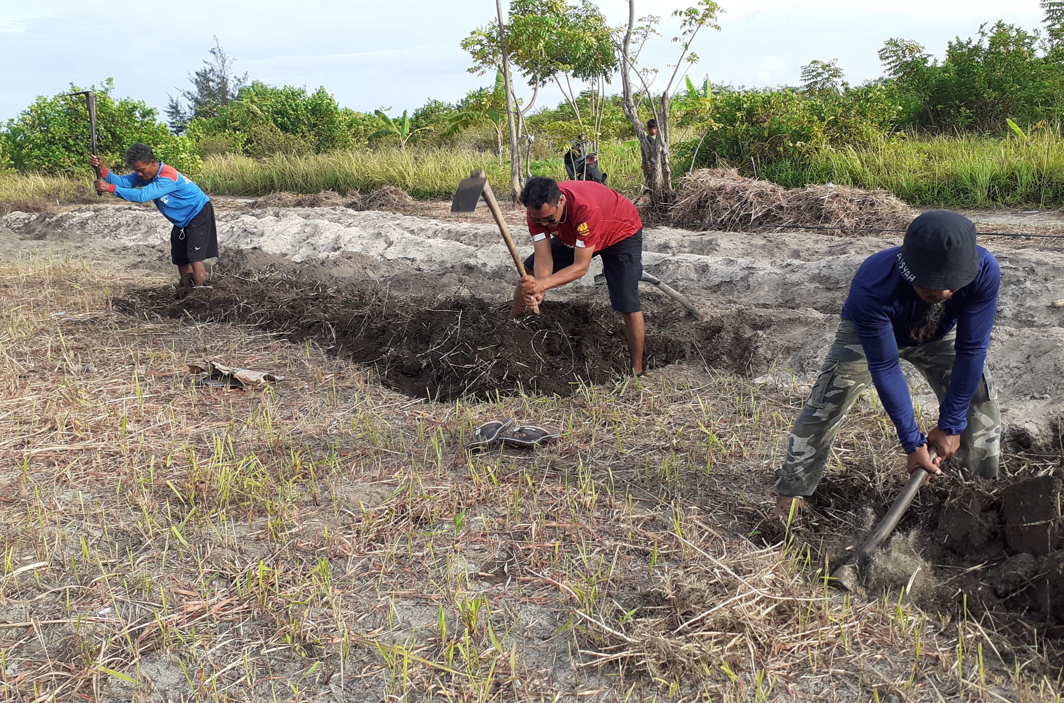 Detail Gambar Orang Berkebun Nomer 13