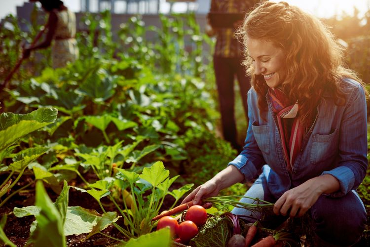 Detail Gambar Orang Berkebun Nomer 16