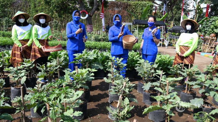 Detail Gambar Orang Berkebun Nomer 17