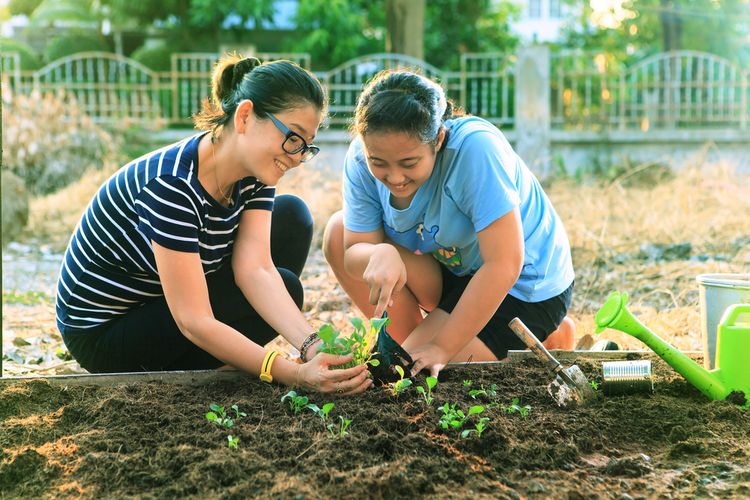 Detail Gambar Orang Berkebun Nomer 3